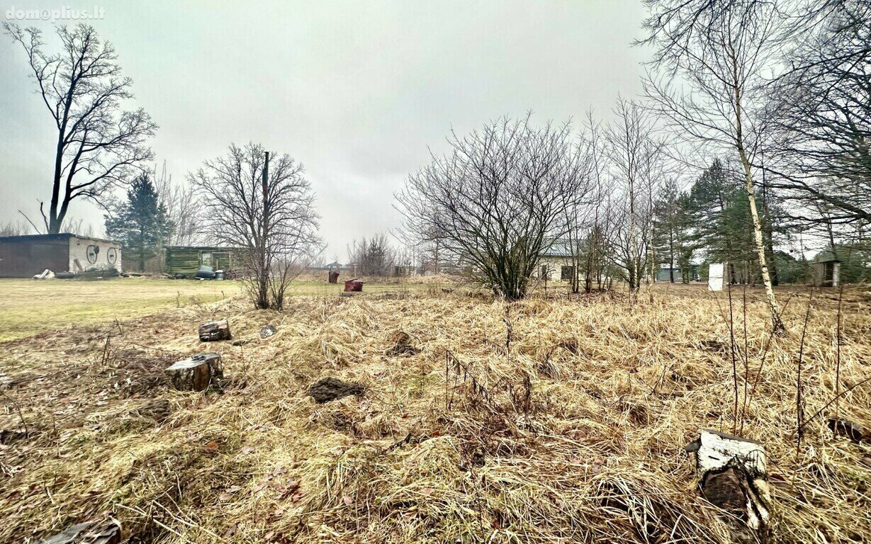 Parduodamas sklypas Panevėžio rajono sav., Paežerys I