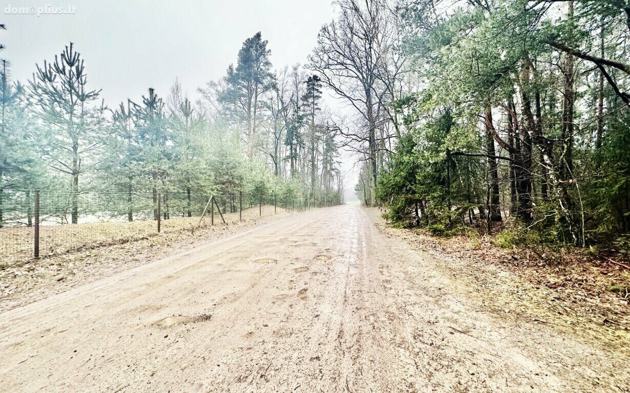 Parduodamas sklypas Panevėžio rajono sav., Paežerys I