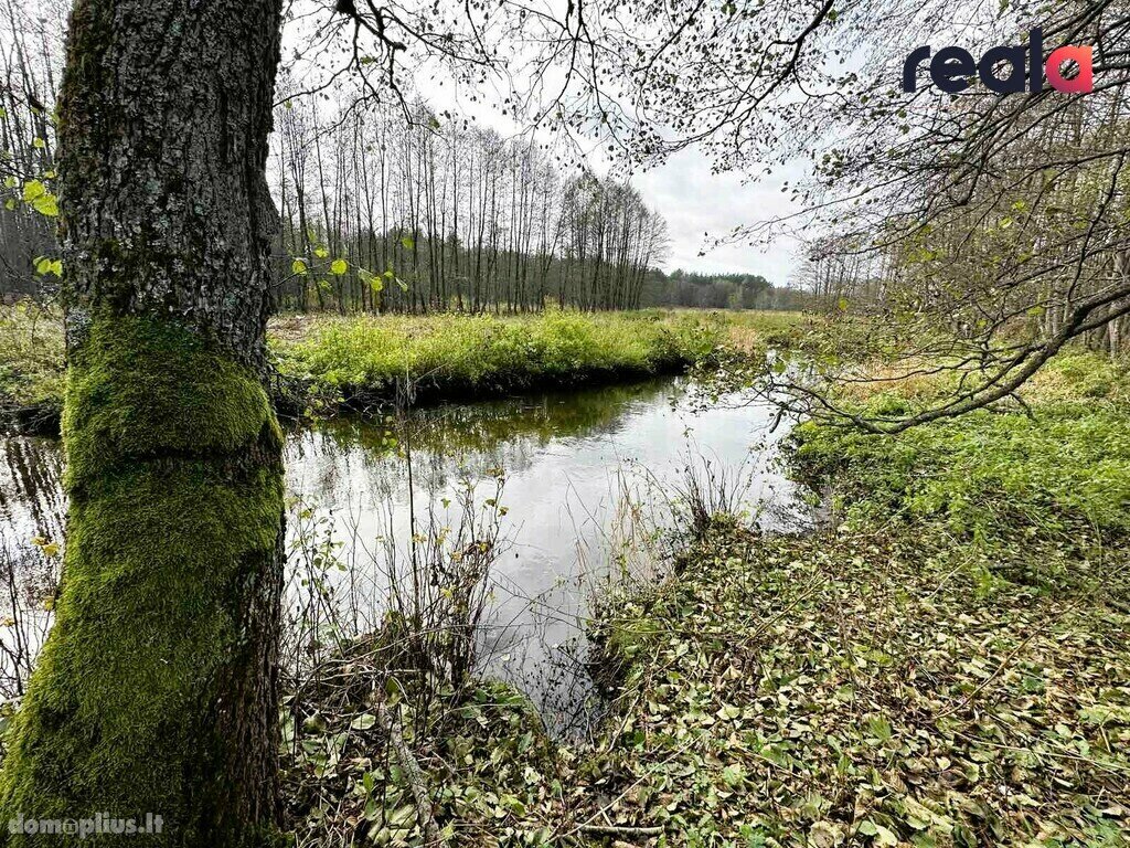 Parduodamas sklypas Šalčininkų rajono sav., Pačiabatuose