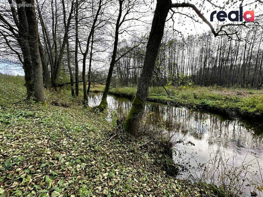 Parduodamas sklypas Šalčininkų rajono sav., Pačiabatuose