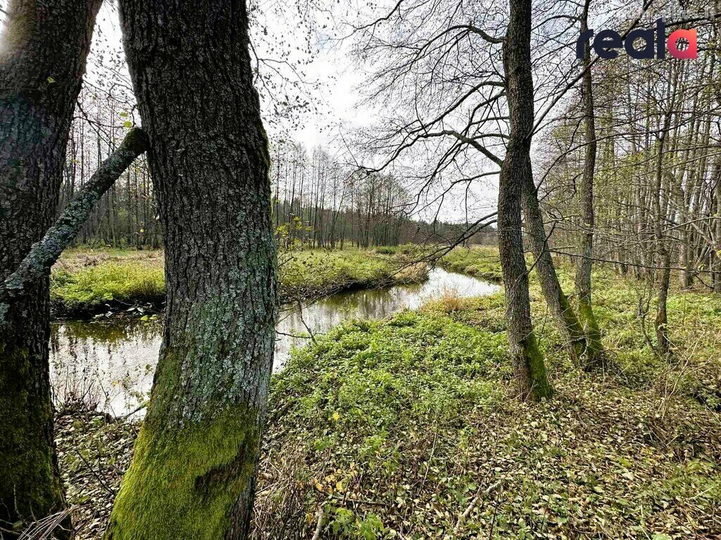 Parduodamas sklypas Šalčininkų rajono sav., Pačiabatuose