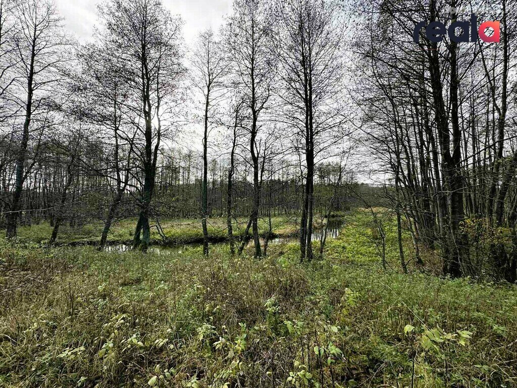 Parduodamas sklypas Šalčininkų rajono sav., Pačiabatuose