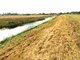 Parduodamas sklypas Klaipėdos rajono sav., Dituvoje, Kuršių g. (4 nuotrauka)