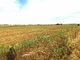Parduodamas sklypas Klaipėdos rajono sav., Dituvoje, Kuršių g. (5 nuotrauka)