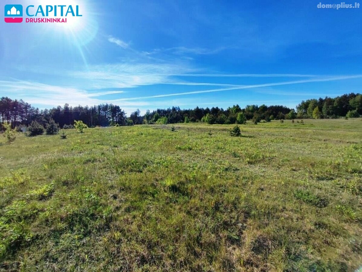 Parduodamas sklypas Druskininkų sav., Didžiasalyje, Alksnyno g.