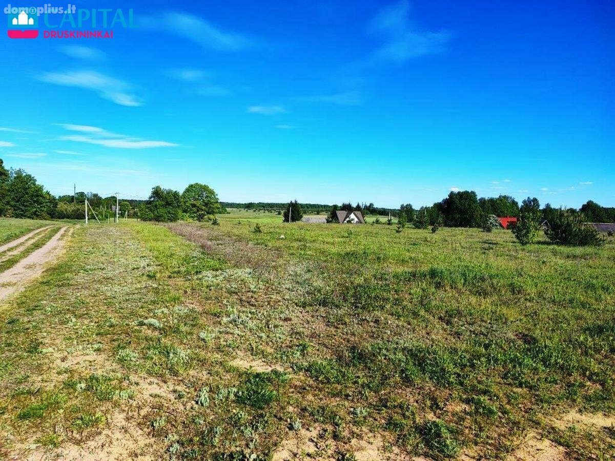 Parduodamas sklypas Druskininkų sav., Didžiasalyje, Alksnyno g.