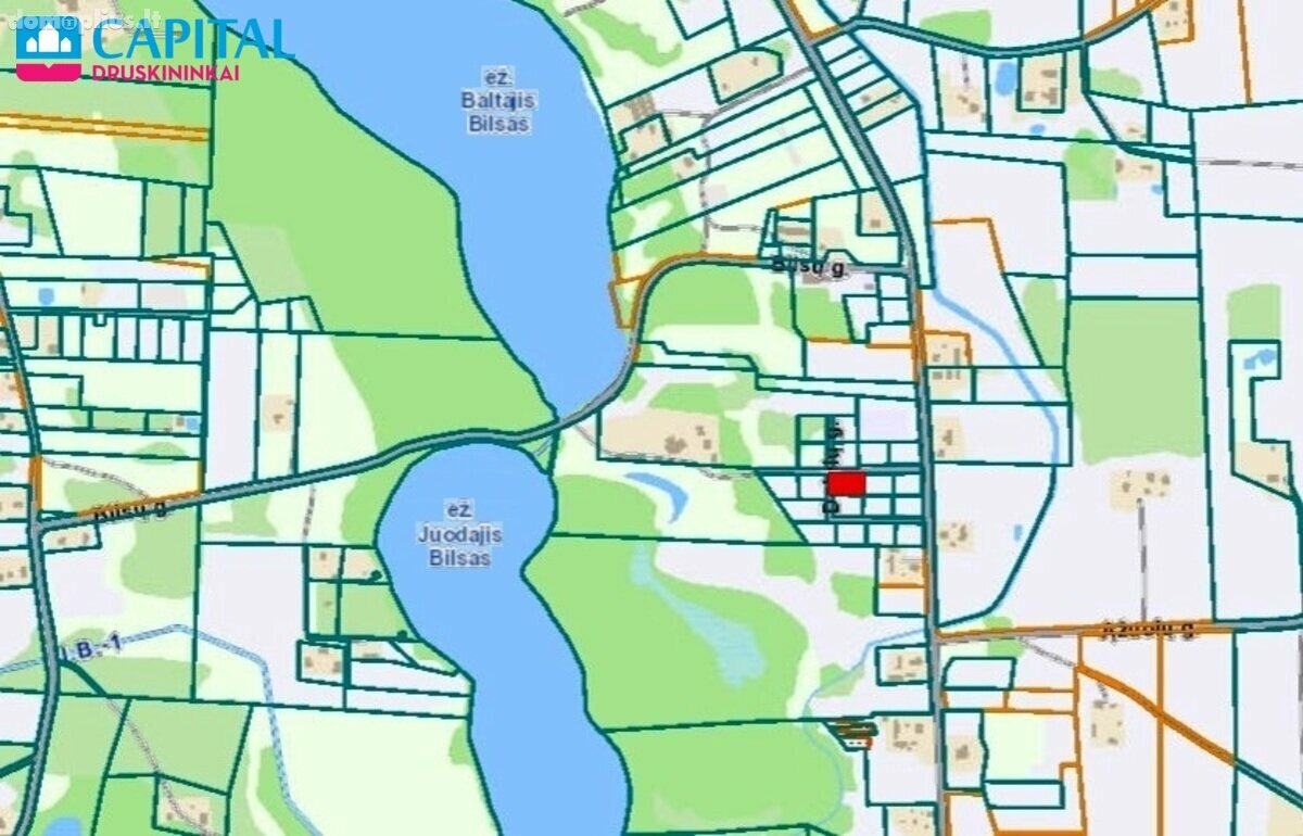 Parduodamas sklypas Druskininkų sav., Didžiasalyje, Alksnyno g.