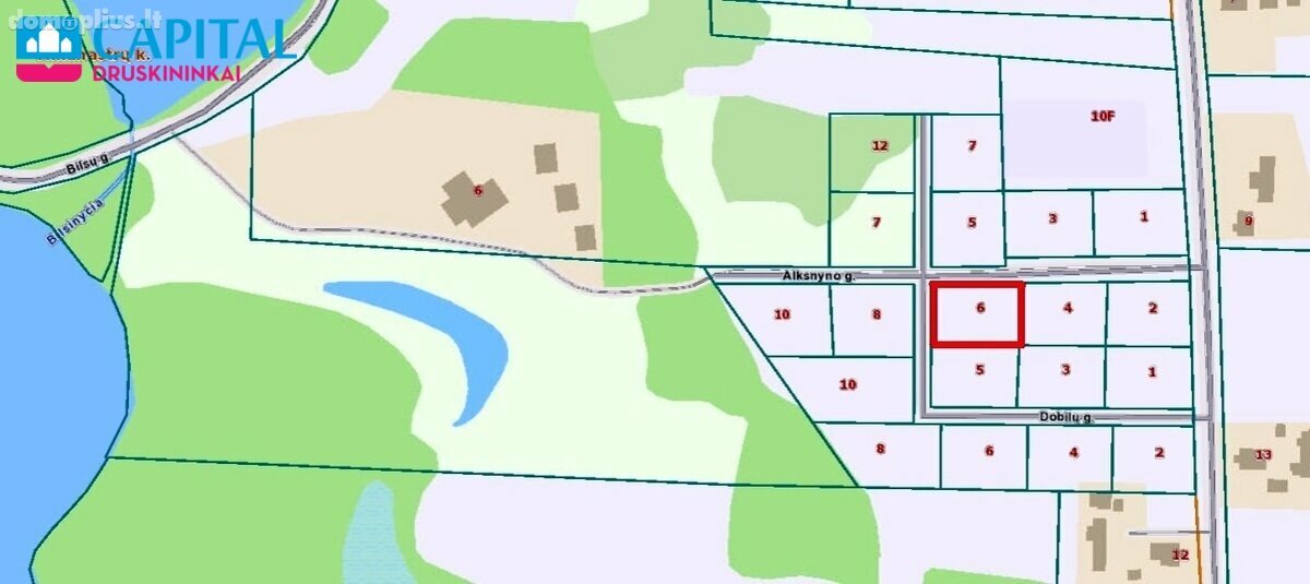 Parduodamas sklypas Druskininkų sav., Didžiasalyje, Alksnyno g.