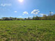 Land for sale Panevėžio rajono sav., Linoniuose (13 picture)