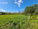 Land for sale Panevėžio rajono sav., Linoniuose (14 picture)