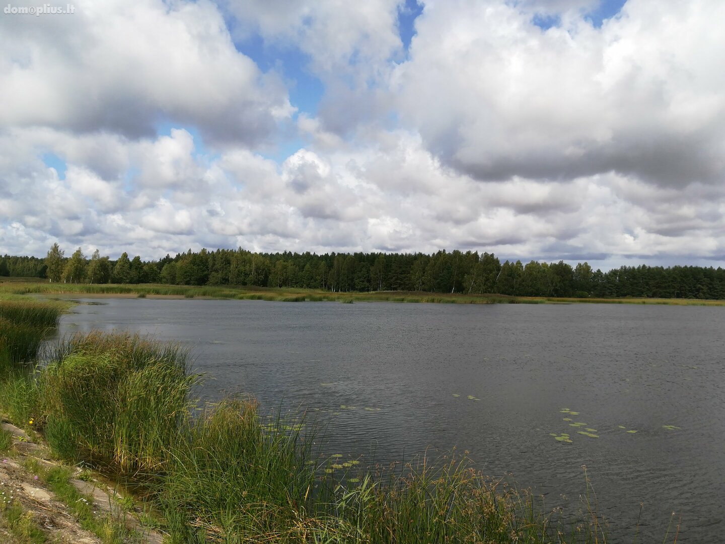 Parduodamas sklypas Kretingos rajono sav., Sausdravuose, Tvenkinio g.