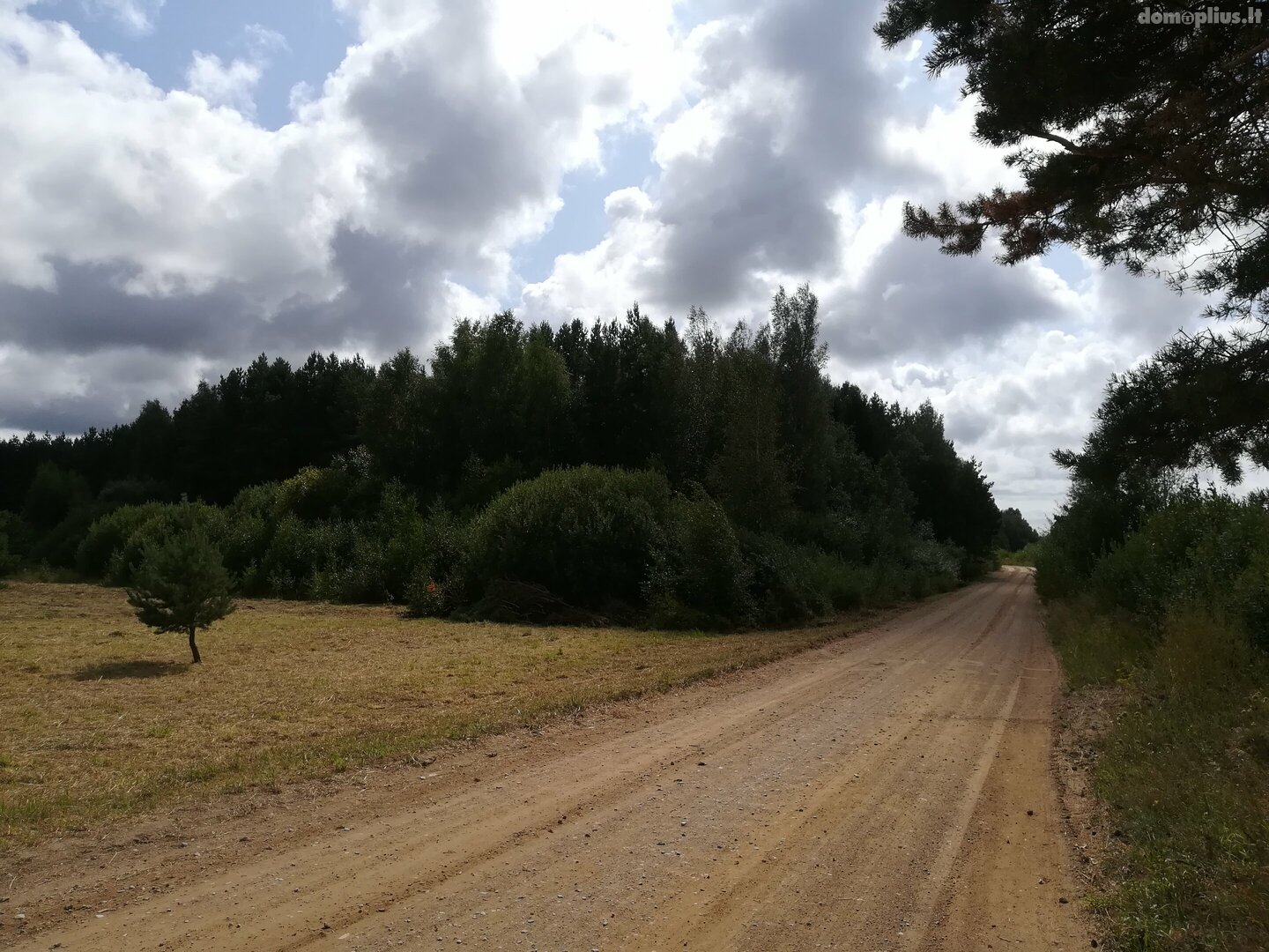 Parduodamas sklypas Kretingos rajono sav., Sausdravuose, Tvenkinio g.