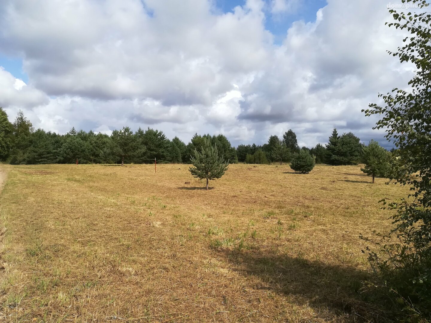 Parduodamas sklypas Kretingos rajono sav., Sausdravuose, Tvenkinio g.