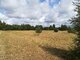 Land for sale Kretingos rajono sav., Sausdravuose, Tvenkinio g. (13 picture)