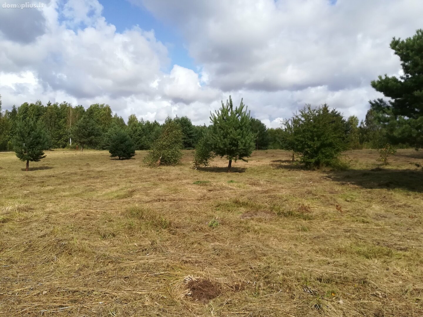 Parduodamas sklypas Kretingos rajono sav., Sausdravuose, Tvenkinio g.