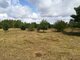Land for sale Kretingos rajono sav., Sausdravuose, Tvenkinio g. (14 picture)