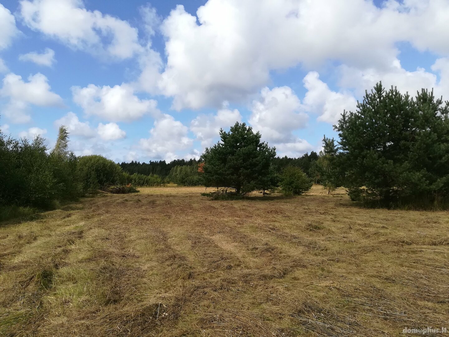 Parduodamas sklypas Kretingos rajono sav., Sausdravuose, Tvenkinio g.