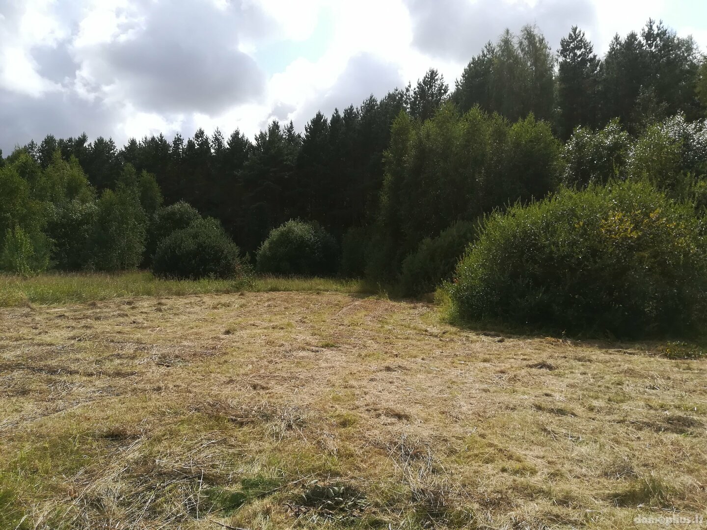 Parduodamas sklypas Kretingos rajono sav., Sausdravuose, Tvenkinio g.