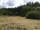 Land for sale Kretingos rajono sav., Sausdravuose, Tvenkinio g. (18 picture)