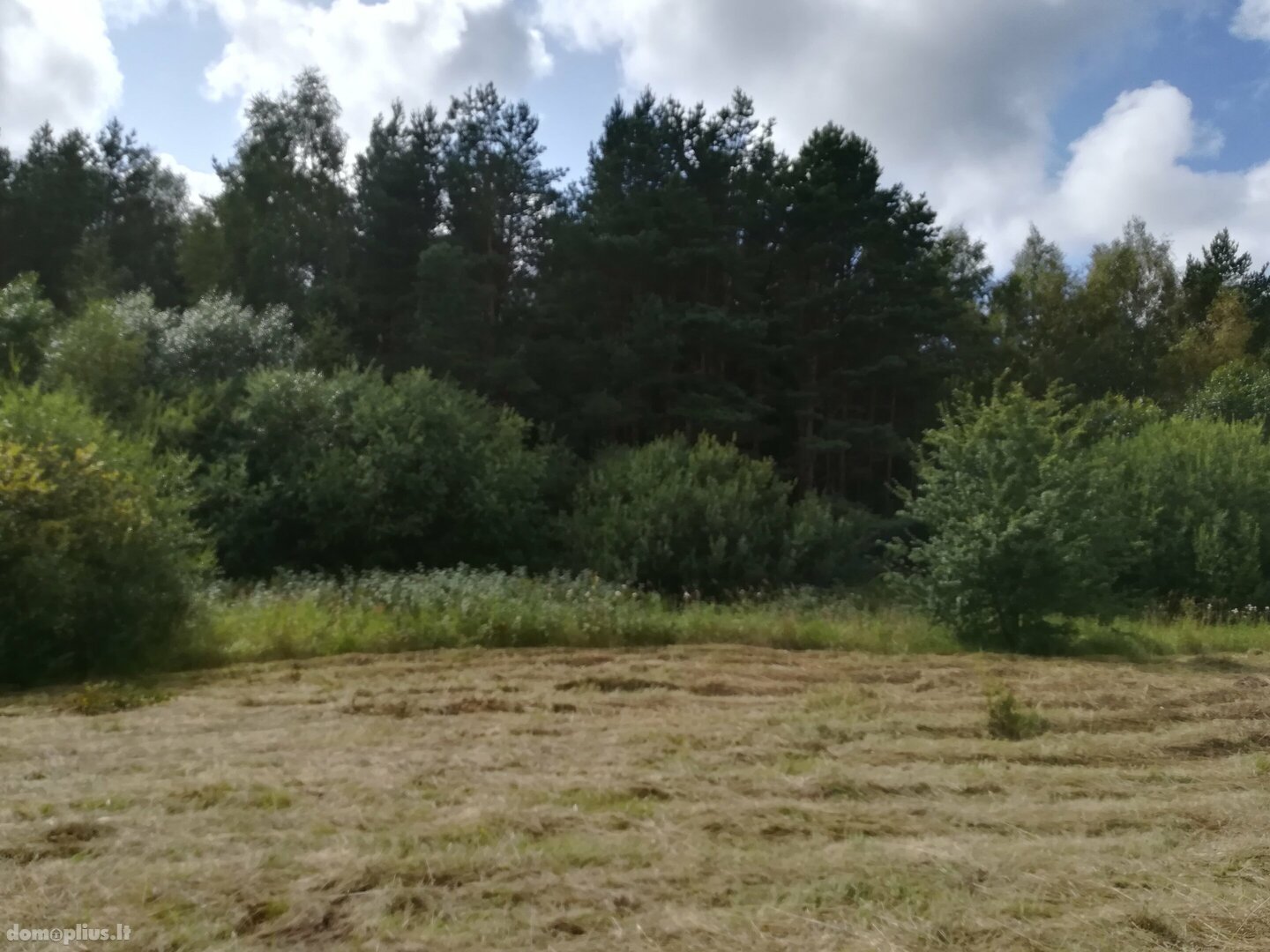 Parduodamas sklypas Kretingos rajono sav., Sausdravuose, Tvenkinio g.