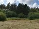 Land for sale Kretingos rajono sav., Sausdravuose, Tvenkinio g. (19 picture)