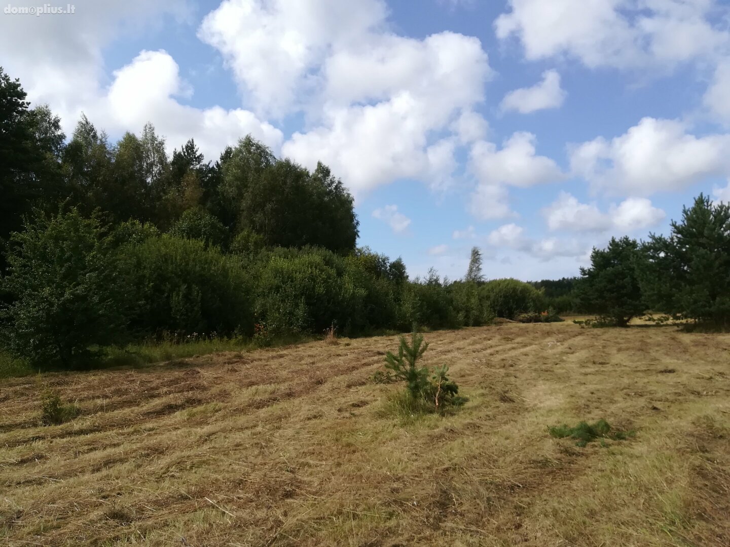 Parduodamas sklypas Kretingos rajono sav., Sausdravuose, Tvenkinio g.