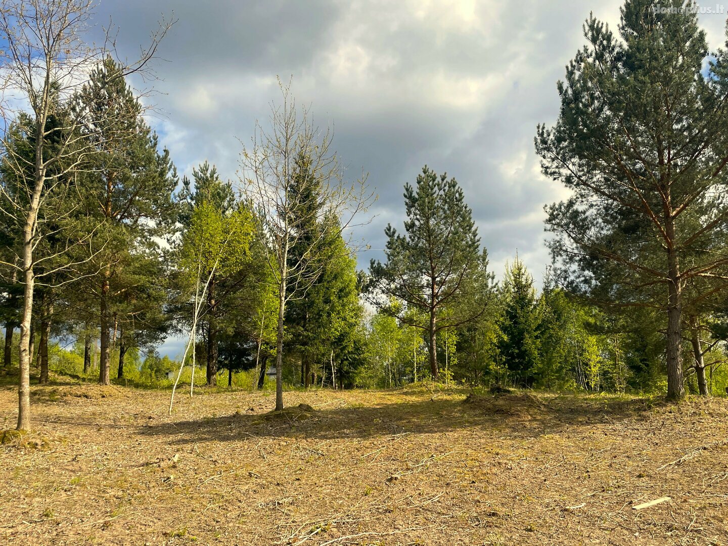 Parduodamas sklypas Vilniaus rajono sav., Saldenėje, Voveraičių g.