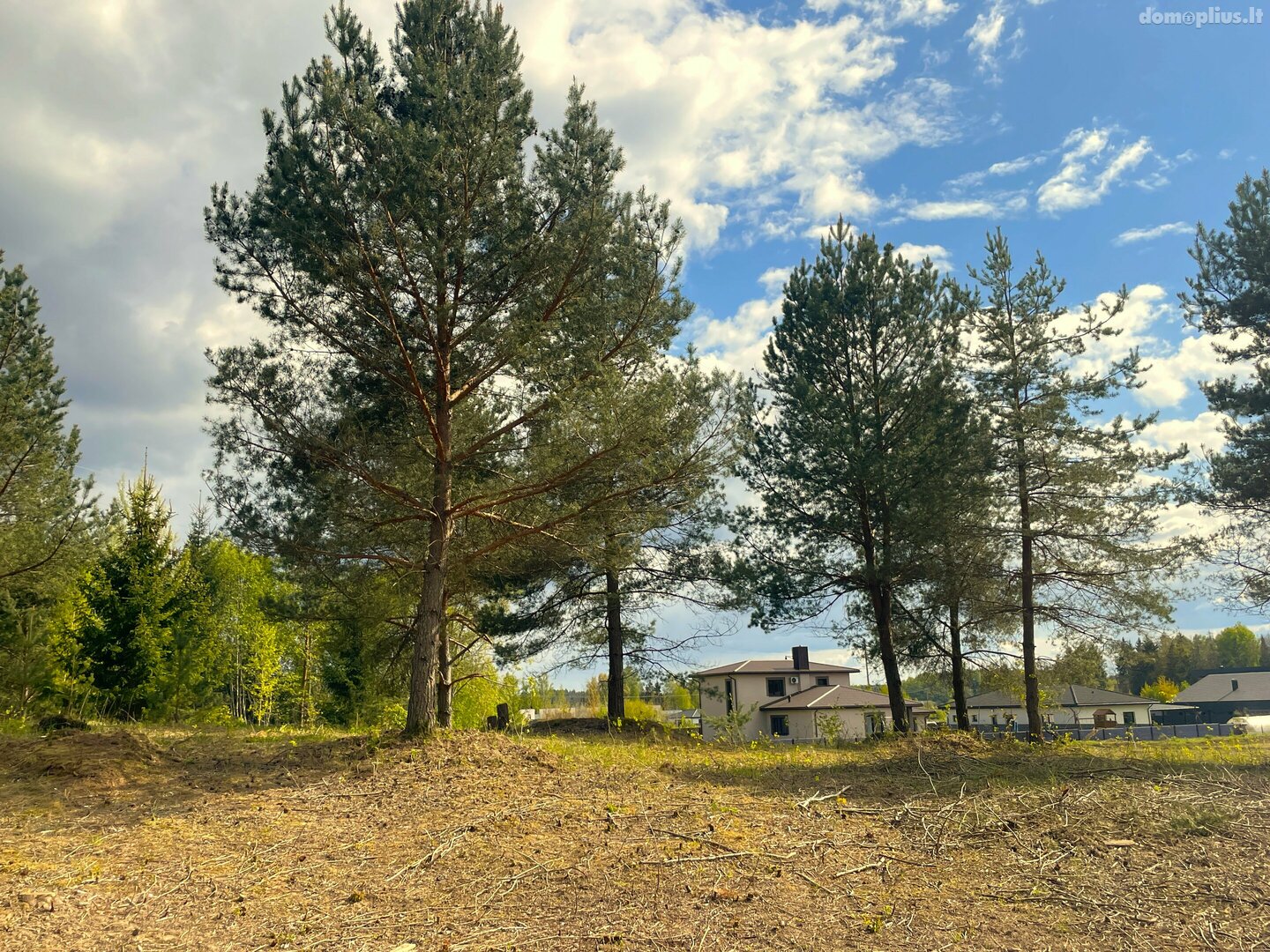 Parduodamas sklypas Vilniaus rajono sav., Saldenėje, Voveraičių g.