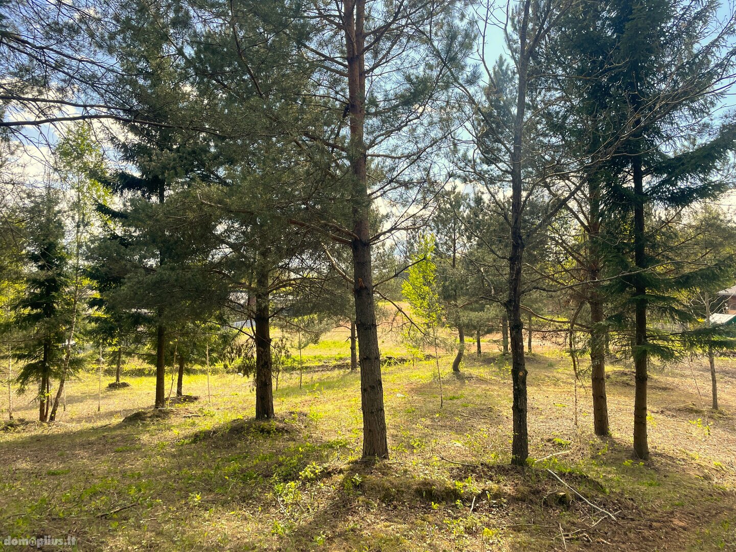 Parduodamas sklypas Vilniaus rajono sav., Saldenėje, Voveraičių g.