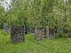 Parduodamas sklypas Širvintų rajono sav., Akmeniuose (8 nuotrauka)