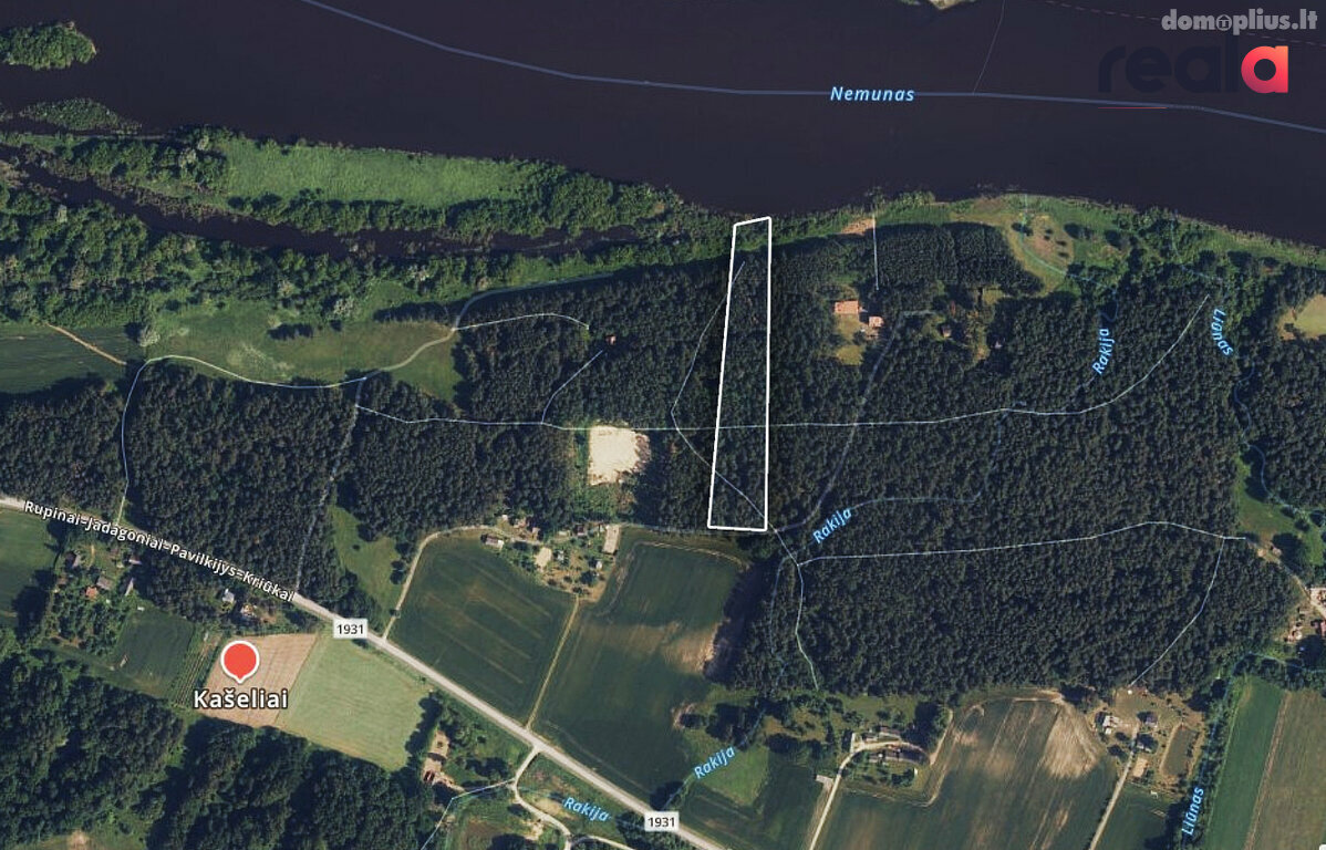 Parduodamas sklypas Šakių rajono sav., Kašeliuose
