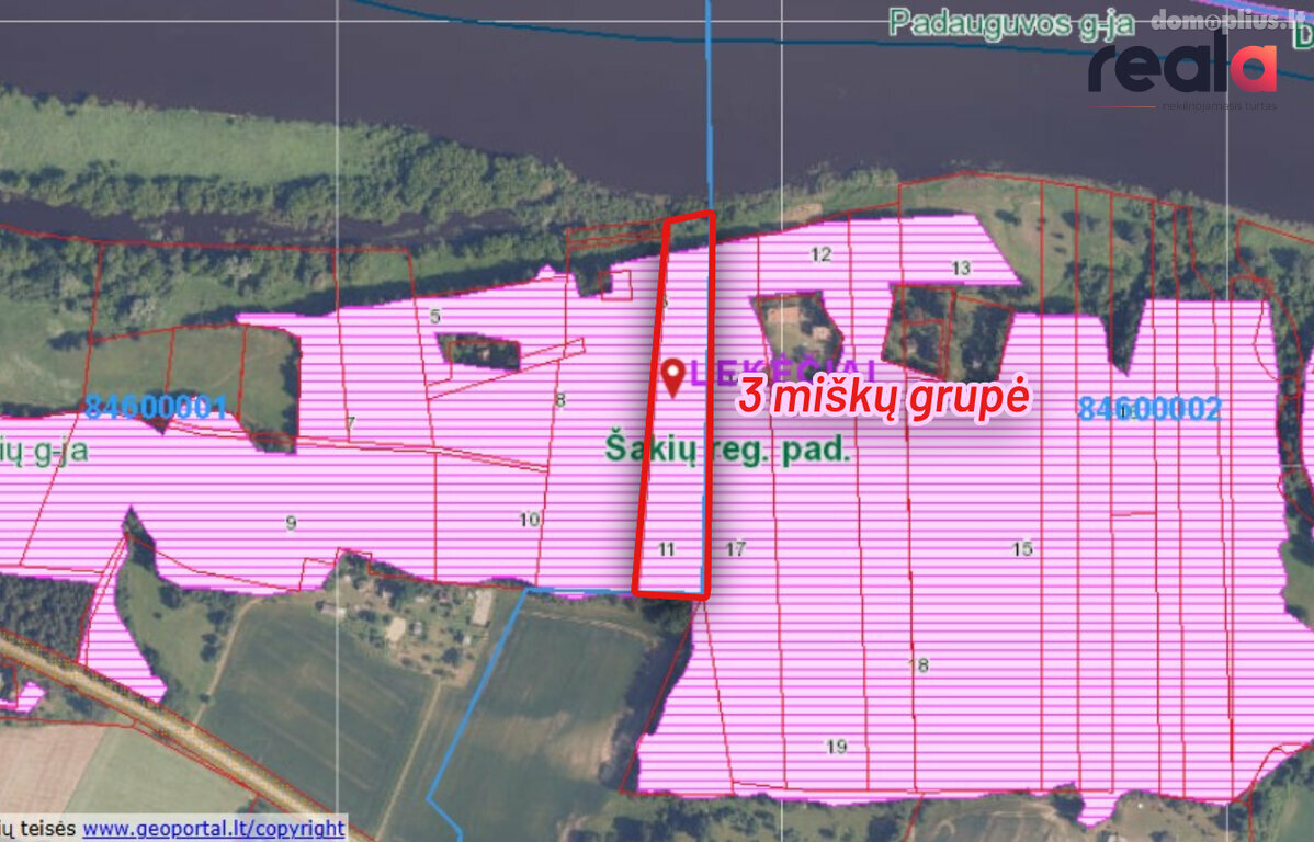 Parduodamas sklypas Šakių rajono sav., Kašeliuose