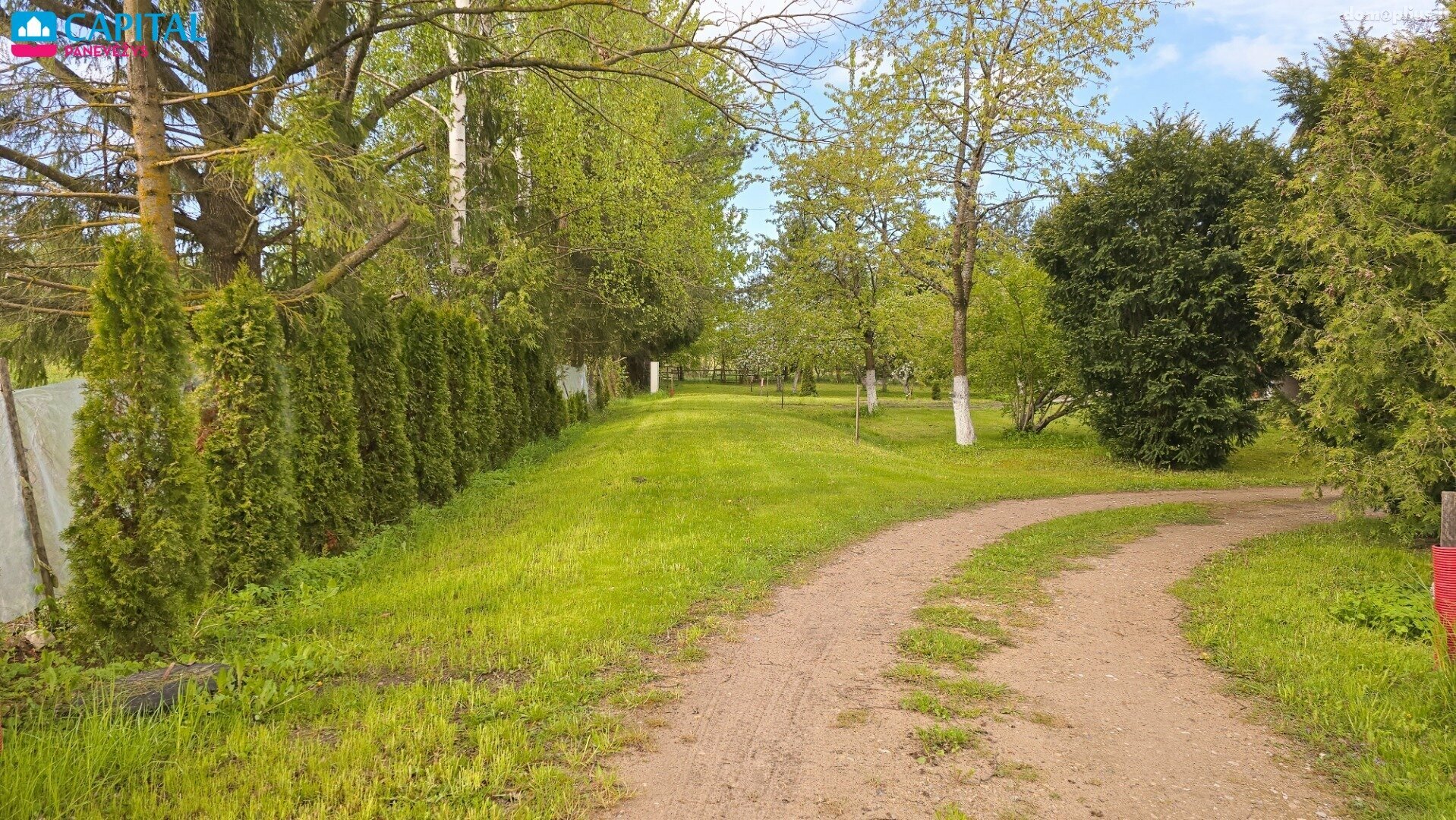 Parduodamas sklypas Panevėžio rajono sav., Paliūniškyje, Žemdirbių g.