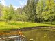 Parduodamas sklypas Panevėžio rajono sav., Paliūniškyje, Žemdirbių g. (12 nuotrauka)