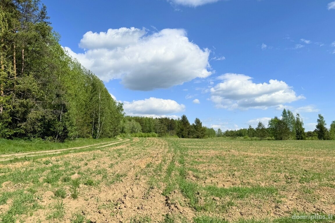 Parduodamas sklypas Trakų rajono sav., Vytautavoje