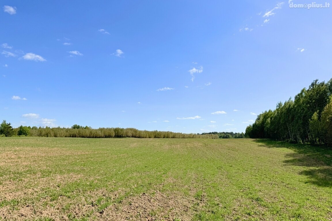 Parduodamas sklypas Trakų rajono sav., Vytautavoje