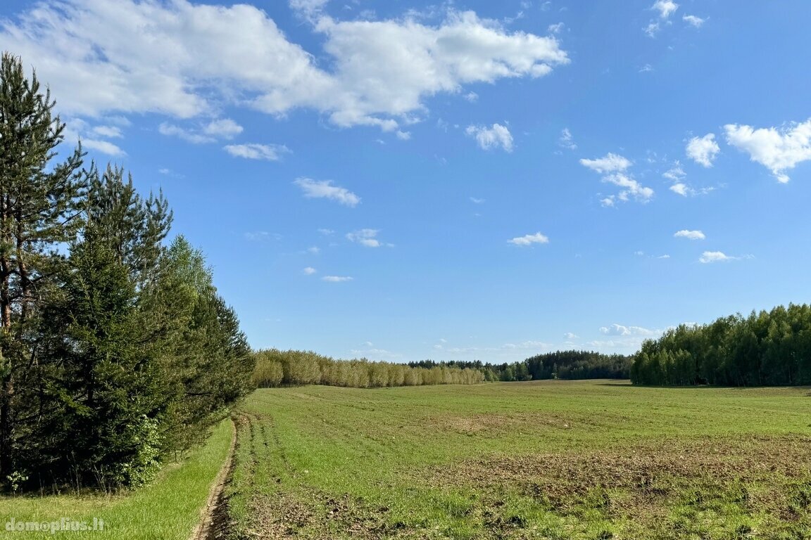 Parduodamas sklypas Trakų rajono sav., Vytautavoje