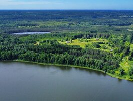 Sklypas Molėtų rajono sav., Grinkliškiuose