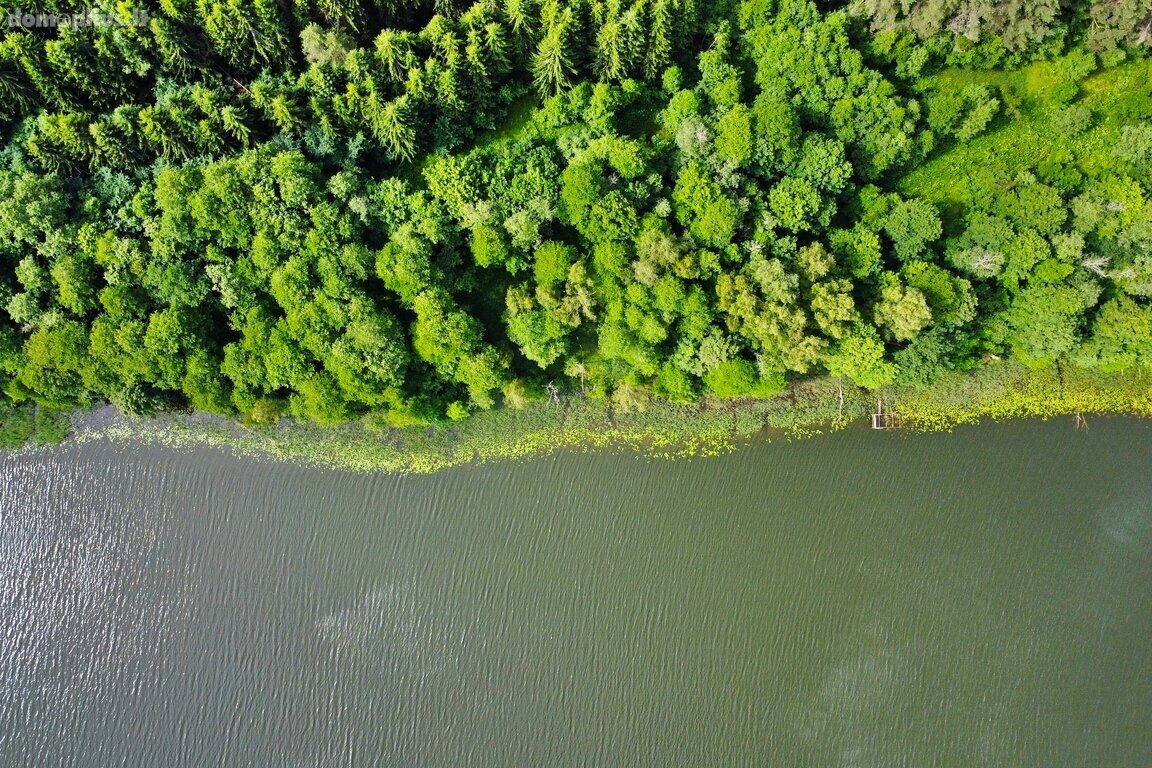 Parduodamas sklypas Molėtų rajono sav., Grinkliškiuose