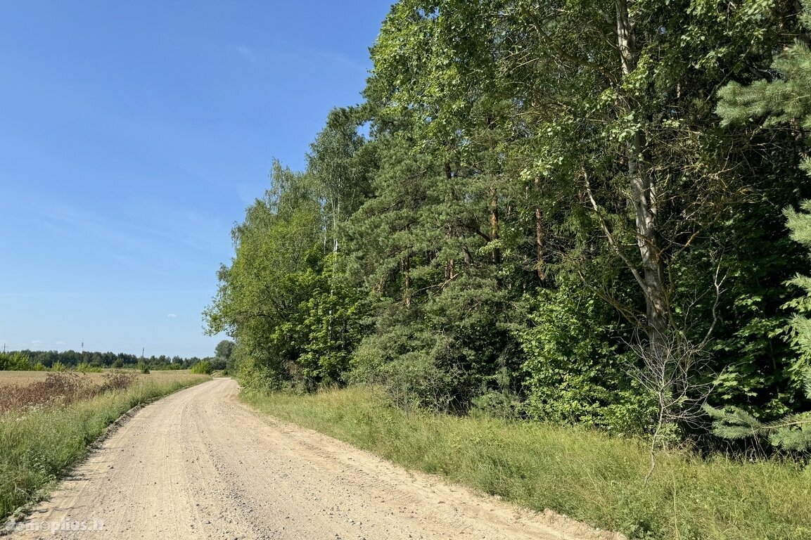 Parduodamas sklypas Trakų rajono sav., Žūkuose