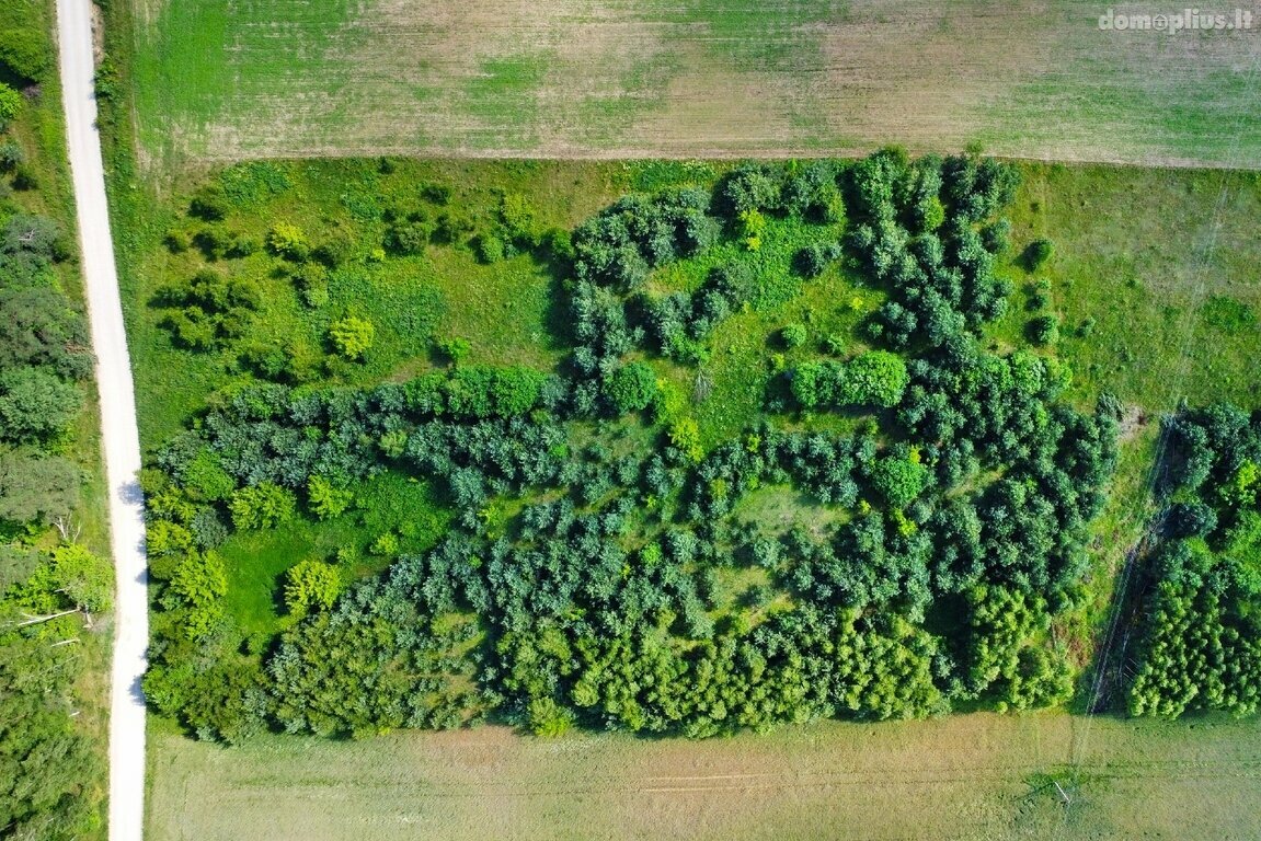 Parduodamas sklypas Trakų rajono sav., Žūkuose
