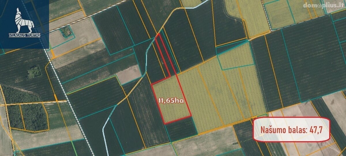 Parduodamas sklypas Pasvalio rajono sav., Kiemėnuose