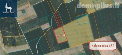 Land for sale Pasvalio rajono sav., Kiemėnuose