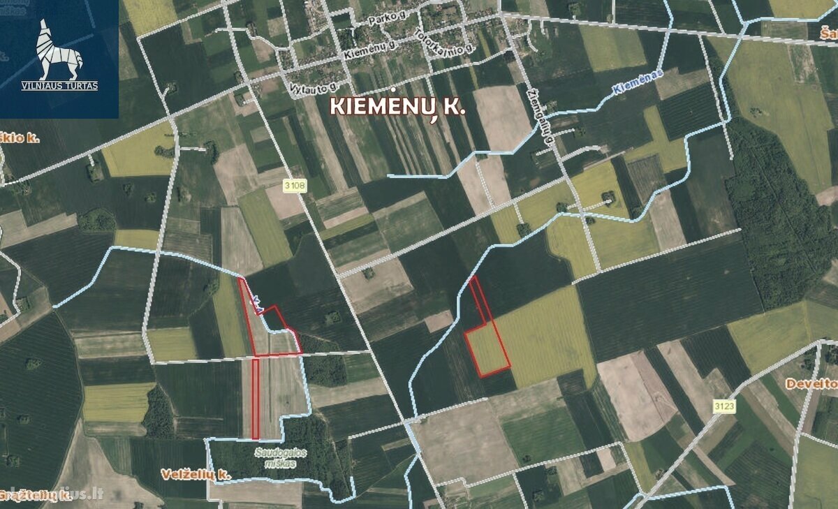 Parduodamas sklypas Pasvalio rajono sav., Kiemėnuose