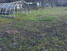 Parduodamas sklypas Klaipėdos rajono sav., Šiūpariuose
