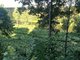 Parduodamas sklypas Vilniaus rajono sav., Joneikiškėse, Europos Parko g. (4 nuotrauka)