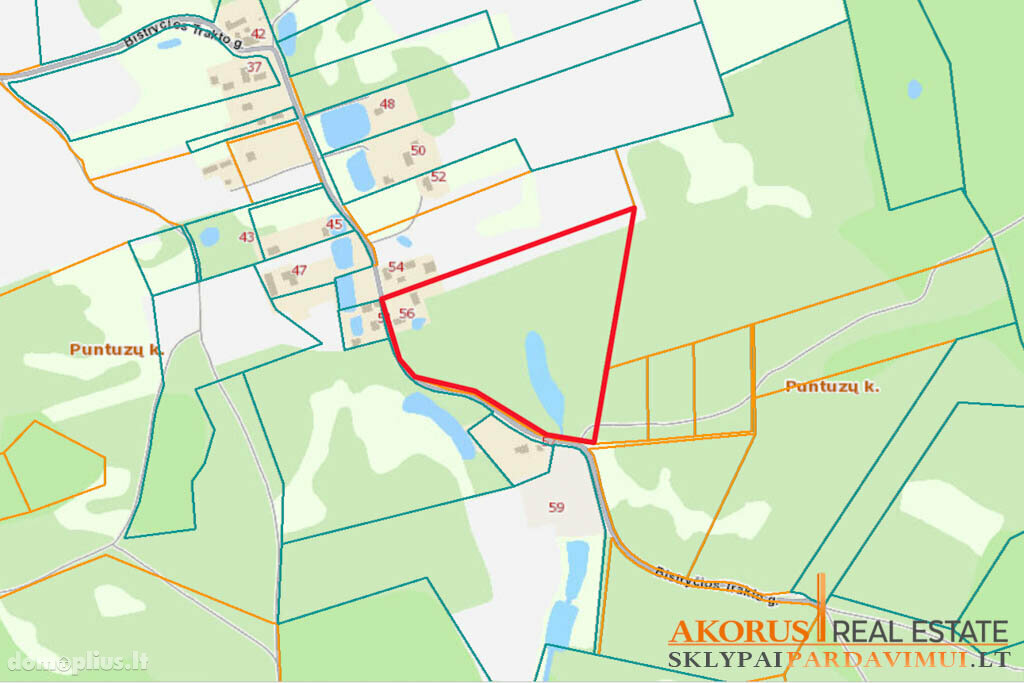 Участок Vilniaus rajono sav., Puntuzuose, Bistryčios Trakto g.