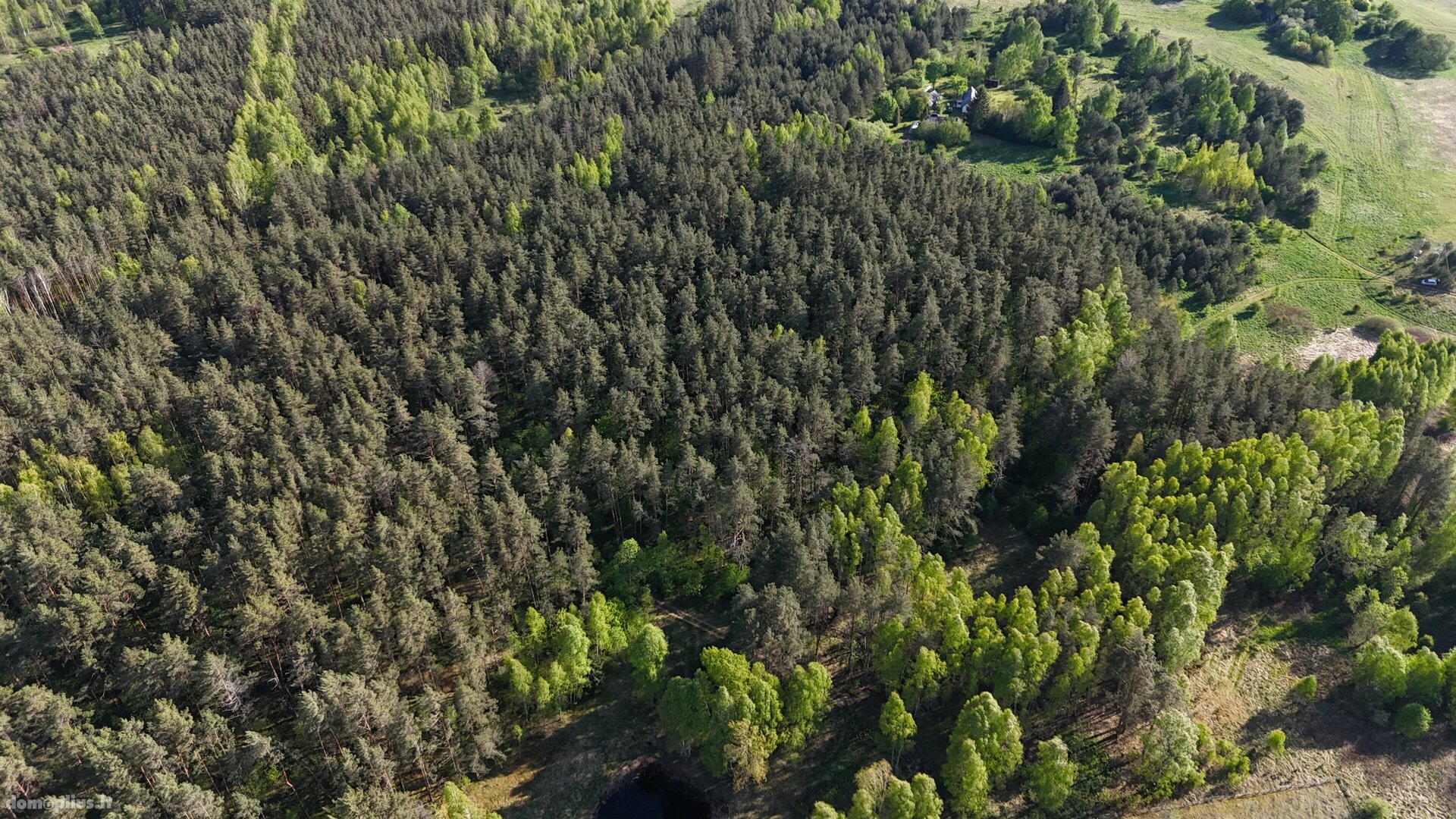 Parduodamas sklypas Molėtų rajono sav., Naraginėje