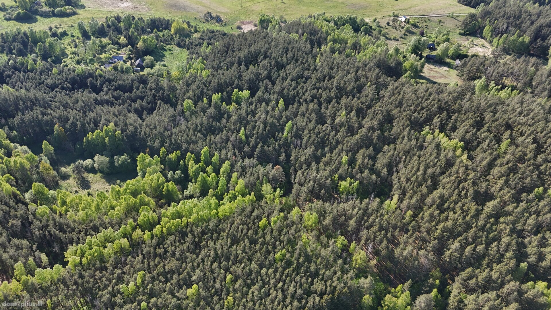 Parduodamas sklypas Molėtų rajono sav., Naraginėje