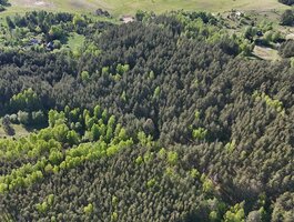 Parduodamas sklypas Molėtų rajono sav., Naraginėje